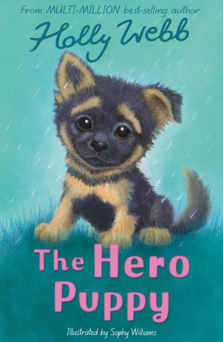 Holly Webb: The Hero Puppy