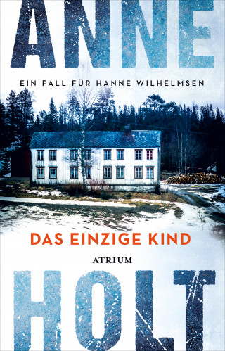 Anne Holt: Das einzige Kind