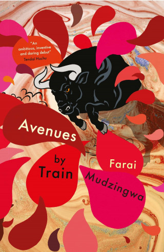 Farai Mudzingwa: Avenues by Train