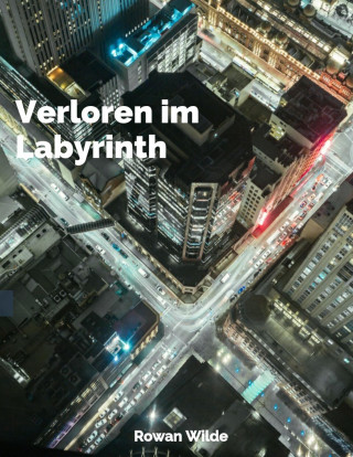 Axel Frost: Verloren im Labyrinth