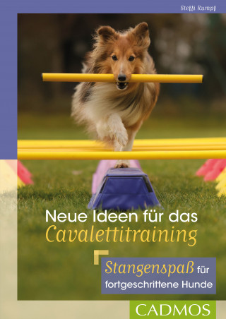 Steffi Rumpf: Neue Ideen für das Cavalettitraining