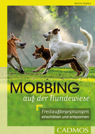 Katrin Andres: Mobbing auf der Hundwiese