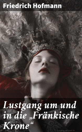 Friedrich Hofmann: Lustgang um und in die "Fränkische Krone"