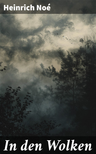 Heinrich Noé: In den Wolken