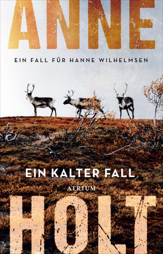 Anne Holt: Ein kalter Fall