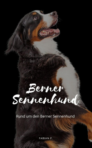 Fabian Pscherer: Berner Sennenhund