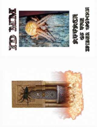 Maik Mueller: ATTACK OF THE SPIDER WOMAN