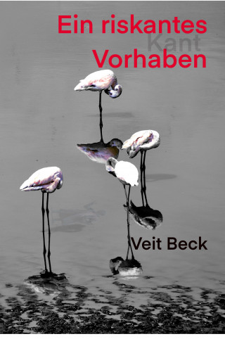 Veit Beck: Ein riskantes Vorhaben