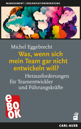 Michel Eggebrecht: Was, wenn sich mein Team gar nicht entwickeln will?