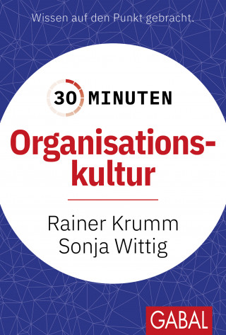 Rainer Krumm, Sonja Wittig: 30 Minuten Organisationskultur
