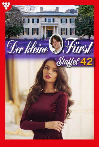 Viola Maybach: E-Book 411-420