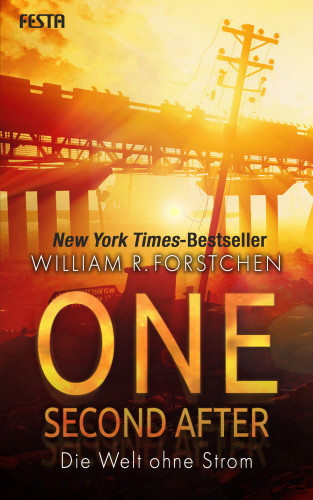 William R. Forstchen: One Second After - Die Welt ohne Strom
