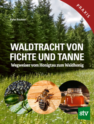 Peter Buchner: Waldtracht von Fichte und Tanne