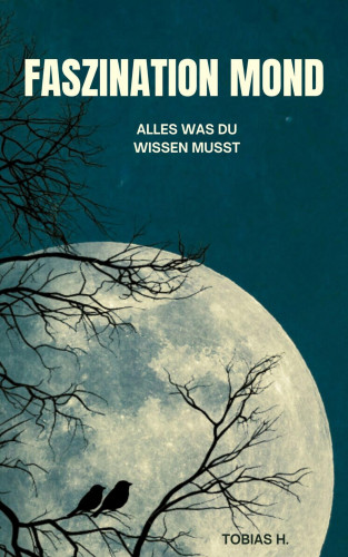 Tobias Hopfmüller: Faszination Mond - alles was du wissen musst