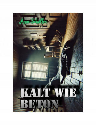 Anne Schöller: Kalt wie Beton