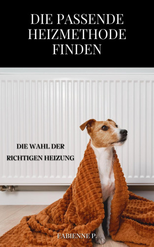 Fabienne P.: Die passende Heizmethode finden