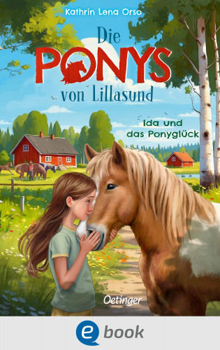 Kathrin Lena Orso: Die Ponys von Lillasund 1. Ida und das Ponyglück
