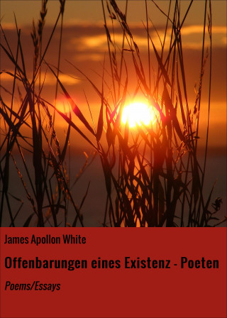 James Apollon White: Offenbarungen eines Existenz - Poeten
