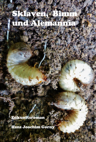 Hans Joachim Gorny: Sklaven, Bimm und Alemannia