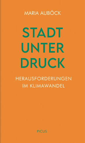Maria Auböck: Stadt unter Druck