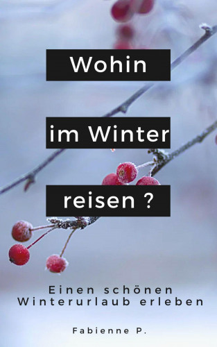 Fabienne P.: Wohin im Winter reisen ?