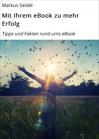 Markus Seidel: Mit Ihrem eBook zu mehr Erfolg