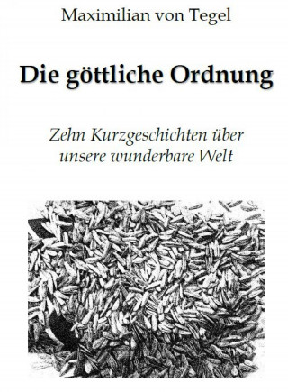 Maximilian von Tegel: Die Göttliche Ordnung