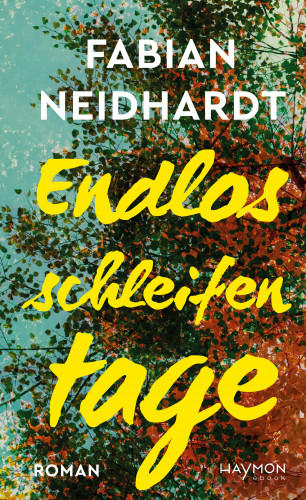 Fabian Neidhardt: Endlosschleifentage