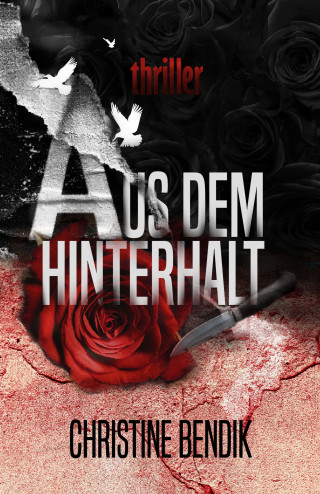 Christine Bendik: Aus dem Hinterhalt