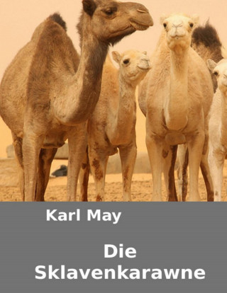Otmar Trierweiler: Karl May - Die Sklavenkarawane.