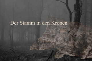 Maymilly Nowak: Der Stamm in den Kronen