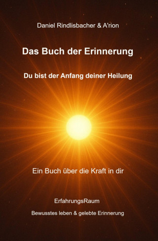 Daniel Rindlisbacher, A'rion Das Feld: Das Buch der Erinnerung - Du bist der Anfang deiner Heilung
