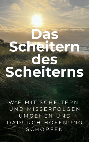 Martin Falk: Das Scheitern des Scheiterns