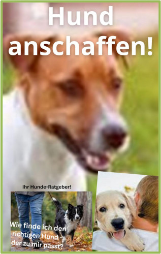 Karina Bernd: Hund anschaffen!