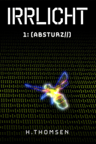 Hendrik Thomsen: IRRLICHT 1: Absturz