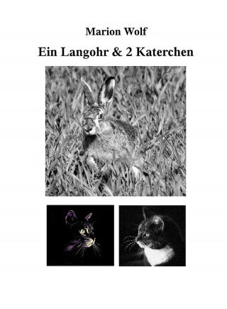 Marion Wolf: Ein Langohr & 2 Katerchen