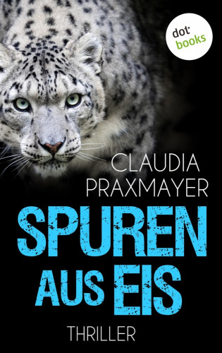 Claudia Praxmayer: Spuren aus Eis
