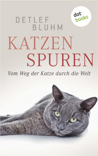 Detlef Bluhm: Katzenspuren