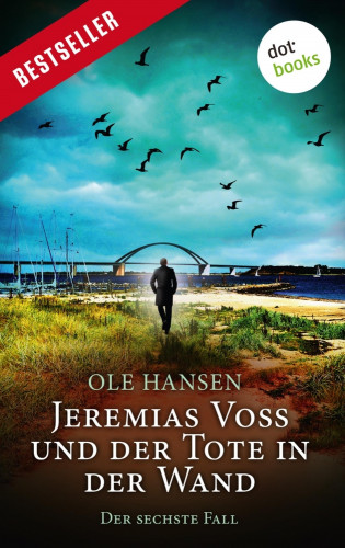Ole Hansen: Jeremias Voss und der Tote in der Wand - Der sechste Fall