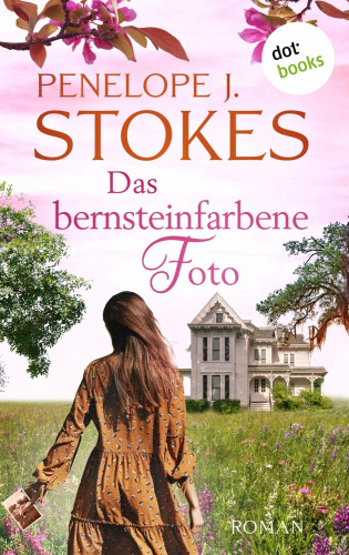 Penelope Stokes: Das bernsteinfarbene Foto