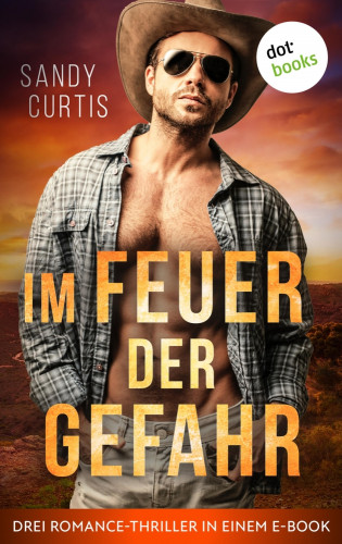 Sandy Curtis: Im Feuer der Gefahr