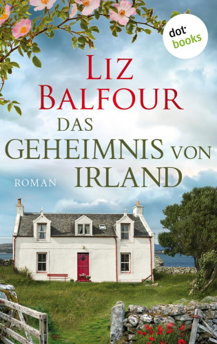 Liz Balfour: Das Geheimnis von Irland - oder: Ich schreib dir sieben Jahre