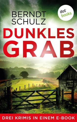 Berndt Schulz: Dunkles Grab