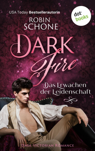 Robin Schone: Dark Fire – Das Erwachen der Leidenschaft