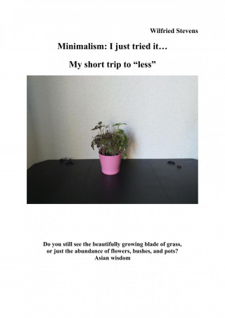 Wilfried Stevens: Minimalism: I just tried it…