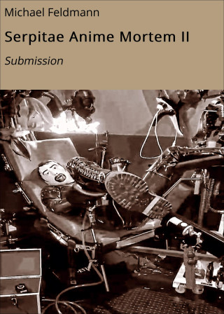 Michael Feldmann: Serpitae Anime Mortem II