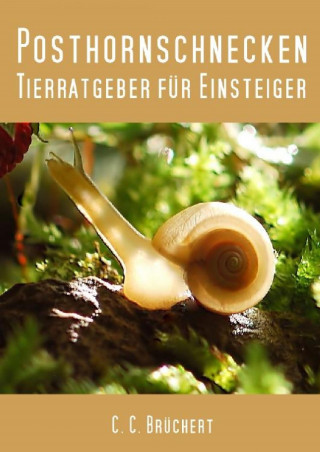 C. C. Brüchert: Tierratgeber für Einsteiger - Posthornschnecken
