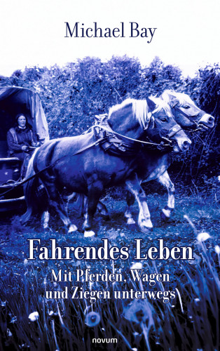 Michael Bay: Fahrendes Leben