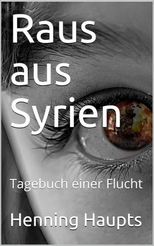 Henning Haupts: Raus aus Syrien