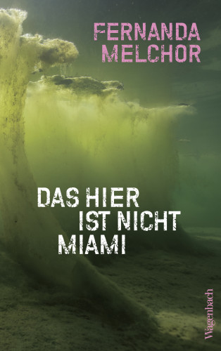 Fernanda Melchor: Das hier ist nicht Miami